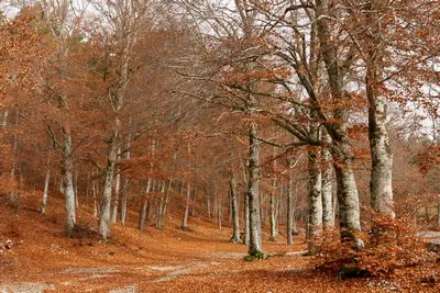 image de paysage de Provence